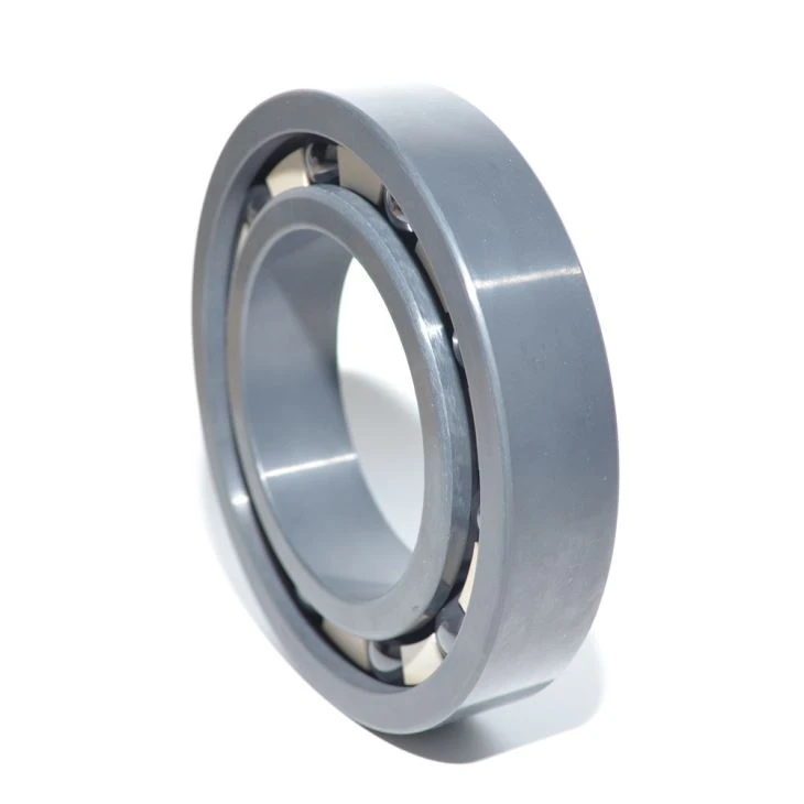 Deep Groove Bearing 2rs Zz 6203 P0, P6, P5, P4, P2